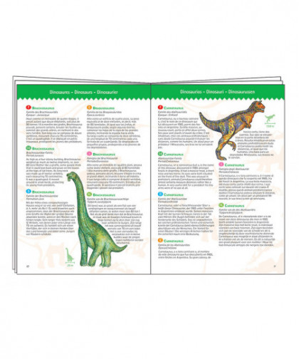 PUZZLES OBSERVATION - DINOSAURES 100 PCS + LIVRET