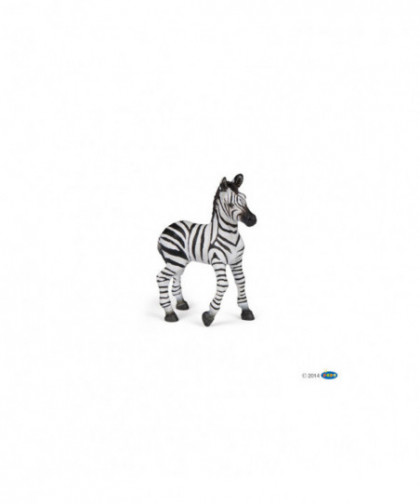 LA VIE SAUVAGE - BÉBÉ ZÈBRE