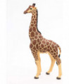 LA VIE SAUVAGE - GIRAFE MÂLE