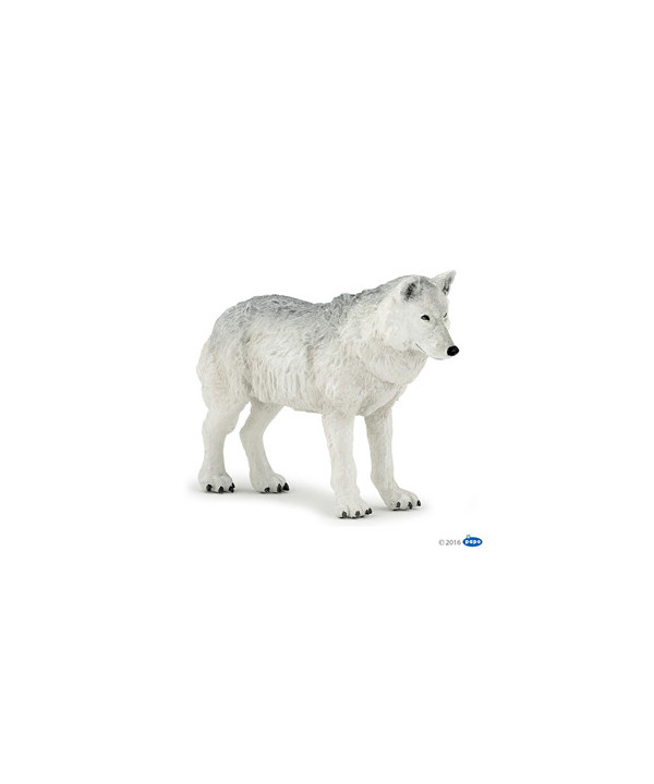 LA VIE SAUVAGE - LOUP POLAIRE