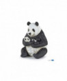 LA VIE SAUVAGE - PANDA ASSIS ET SON BÉBÉ