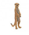LA VIE SAUVAGE - SURICATE DEBOUT