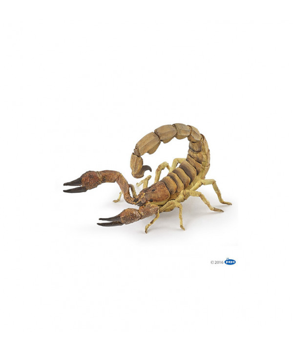 LA VIE SAUVAGE - SCORPION
