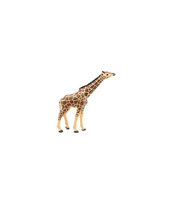 LA VIE SAUVAGE - GIRAFE TÊTE LEVÉE