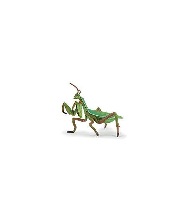 LES ANIMAUX DES JARDINS - MANTE RELIGIEUSE