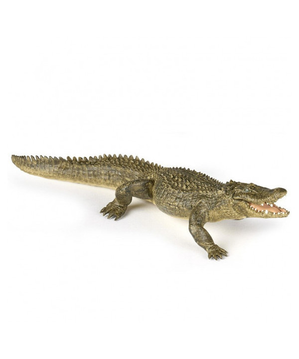 LA VIE SAUVAGE - ALLIGATOR