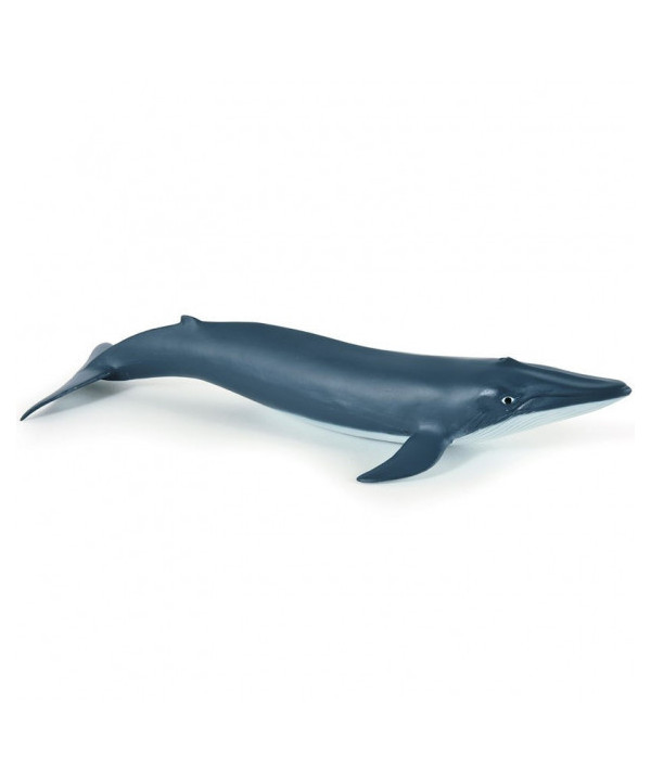L'UNIVERS MARIN - BÉBÉ BALEINE BLEUE