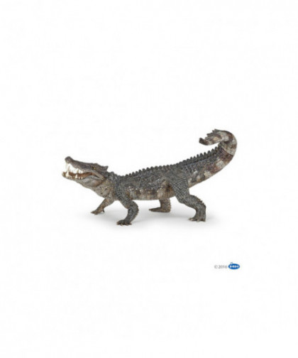 LES DINOSAURES - KAPROSUCHUS