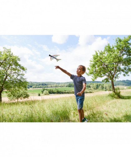 TERRA KIDS - FRONDE-OISEAU