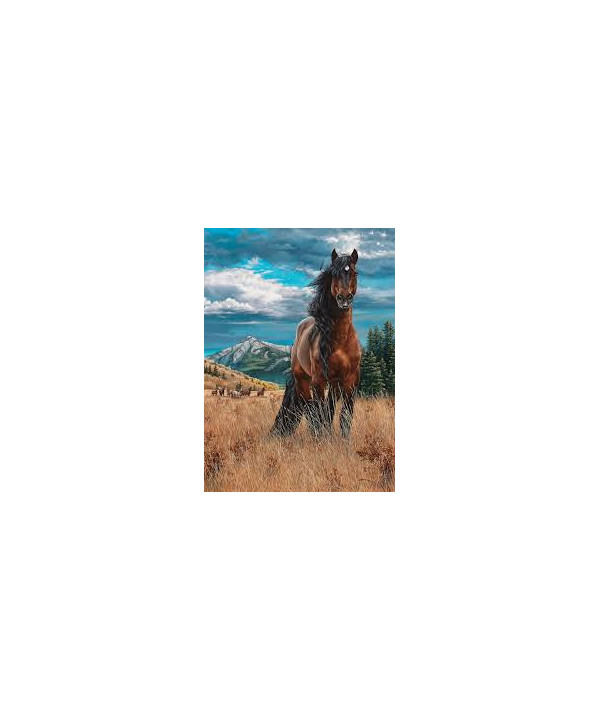PUZZLE 1.000 PCS - FREEDOM