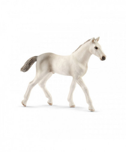 HORSE CLUB - POULAIN HOLSTEIN