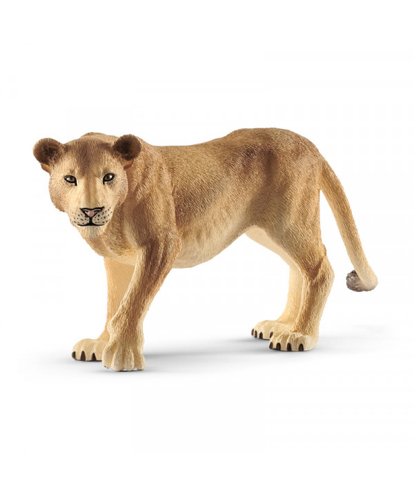 WILD LIFE - LIONNE