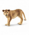 WILD LIFE - LIONNE
