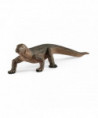 WILD LIFE - DRAGON DE KOMODO