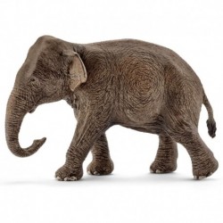 Wild Life - Elephant D’Asie. Femelle
