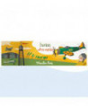 AVION AIR COBRA - LES PETITES MERVEILLES