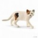 Farm World - CHAT AMERICAN SHORTHAIR