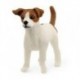 Farm World - Jack Russell Terrier