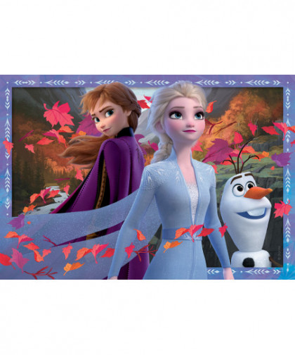 PUZZLE - 2X24 PCS - DFZ: VERS DES CONTRÉES GLACÉES