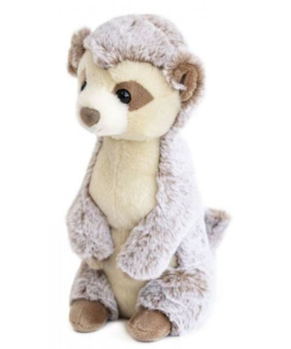 SURICATE