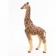 Papo - La vie sauvage : Girafe mâle