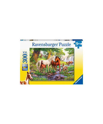 PUZZLE - 300 PCS - CHEVAUX SAUVAGES À LA RIVIÈRE