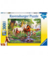 PUZZLE - 300 PCS - CHEVAUX SAUVAGES À LA RIVIÈRE