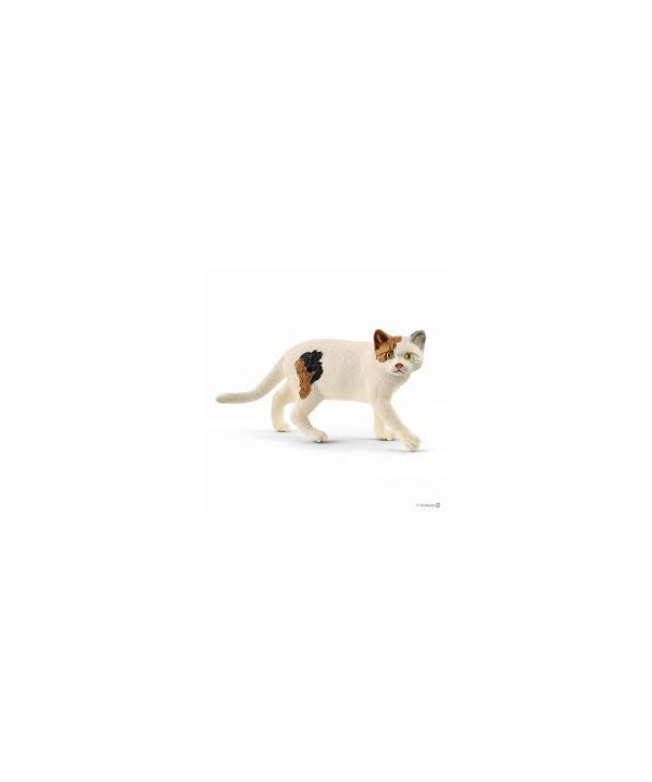 FARM WORLD - AMERICAN SHORTHAIR