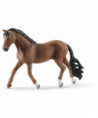 HORSE CLUB - HONGRE TRAKEHNER