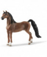HORSE CLUB - HONGRE SADDLEBRED