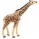 PAPO - LA VIE SAUVAGE - Girafe tête levée