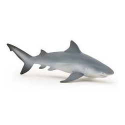 PAPO - L'UNIVERS MARIN - Requin bouledogue