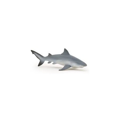 PAPO - L'UNIVERS MARIN - Requin bouledogue