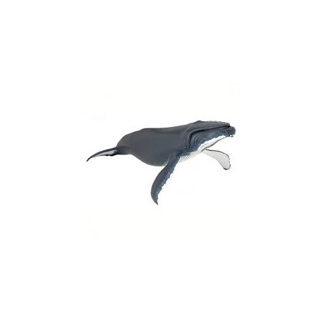 PAPO - L'UNIVERS MARIN - Baleine à bosse