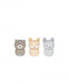 HOME - MA PETITE BOITE A DENTS (12PCS ASSORTIES)