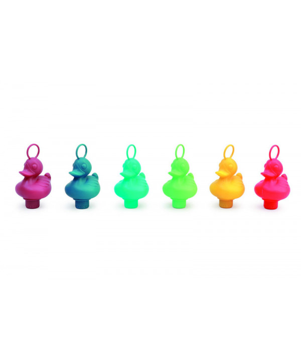 SET DE 6 CANARDS