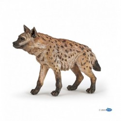 PAPO - LA VIE SAUVAGE - Hyène