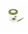 BASS & BASS - MEGA BOITE LOUPE