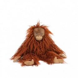 MROTY - Petit orang-outan - Tout autour du monde