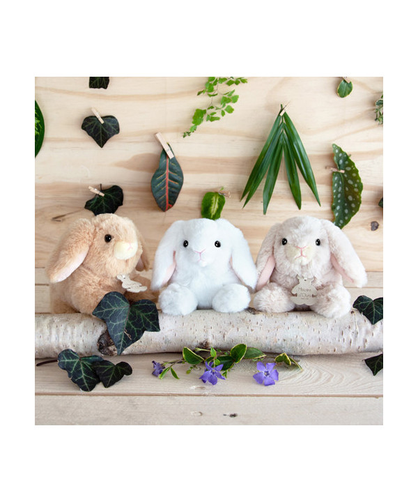 LAPINS