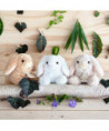 LAPINS