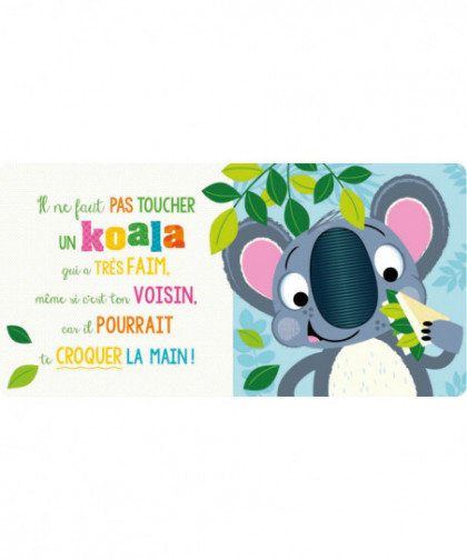 IL NE FAUT PAS TOUCHER UN KOALA !