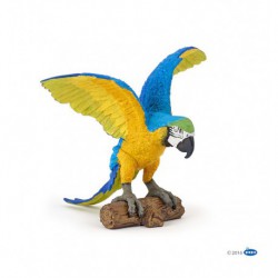 Perroquet Ara bleu
