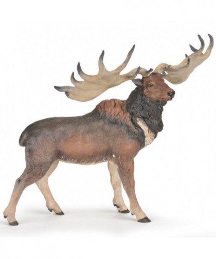 LES DINOSAURES - MÉGALOCÉROS