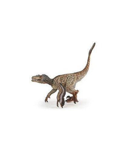 LES DINOSAURES - VÉLOCIRAPTOR À PLUMES
