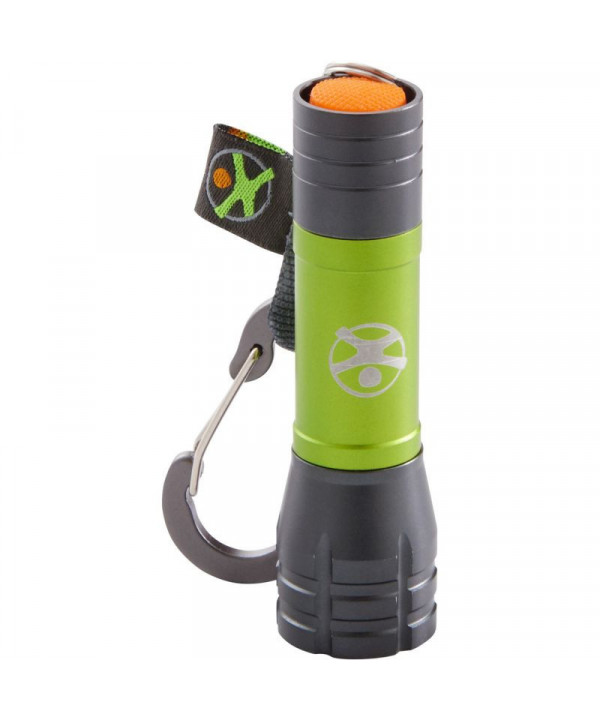 TERRA KIDS - PRÉSENTOIR MINI LAMPES DE POCHES