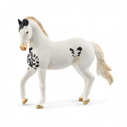 HORSE CLUB - ÉTALON MARWARI