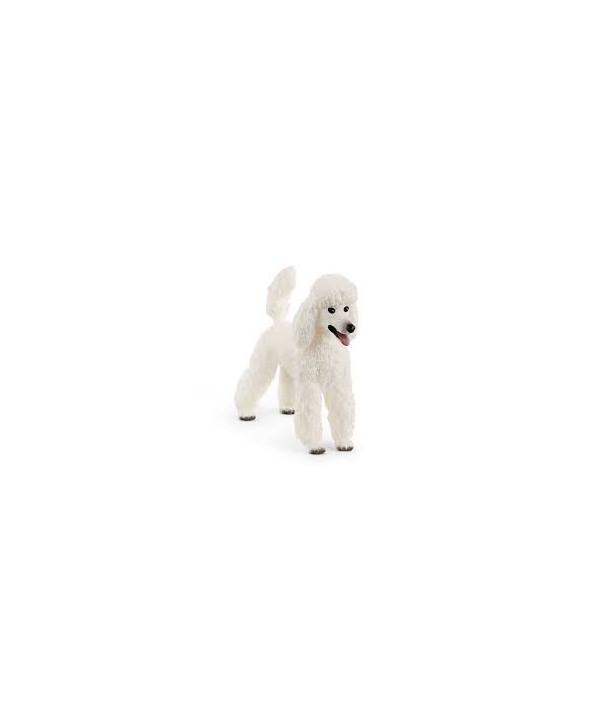FARM WORLD - CANICHE
