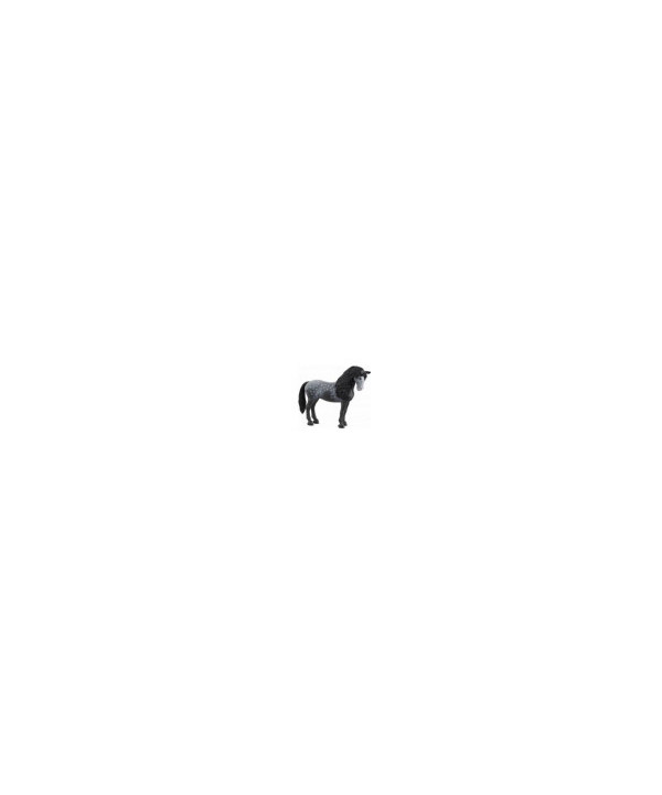 HORSE CLUB - JUMENT PURE RACE ESPAGNOLE