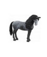 HORSE CLUB - JUMENT PURE RACE ESPAGNOLE